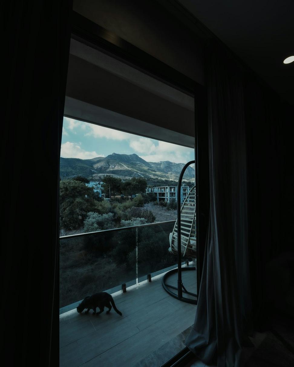 Mountain View Room